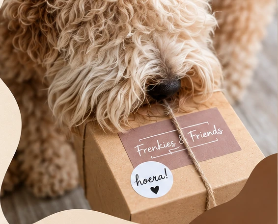 Frenkie met een Frenkies & Friends cadeaudoos