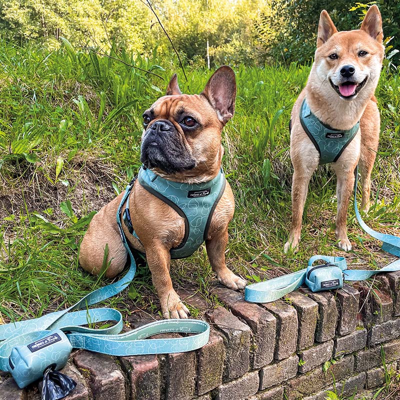 Set met tuigje │ Jessie - Afbeelding 3
