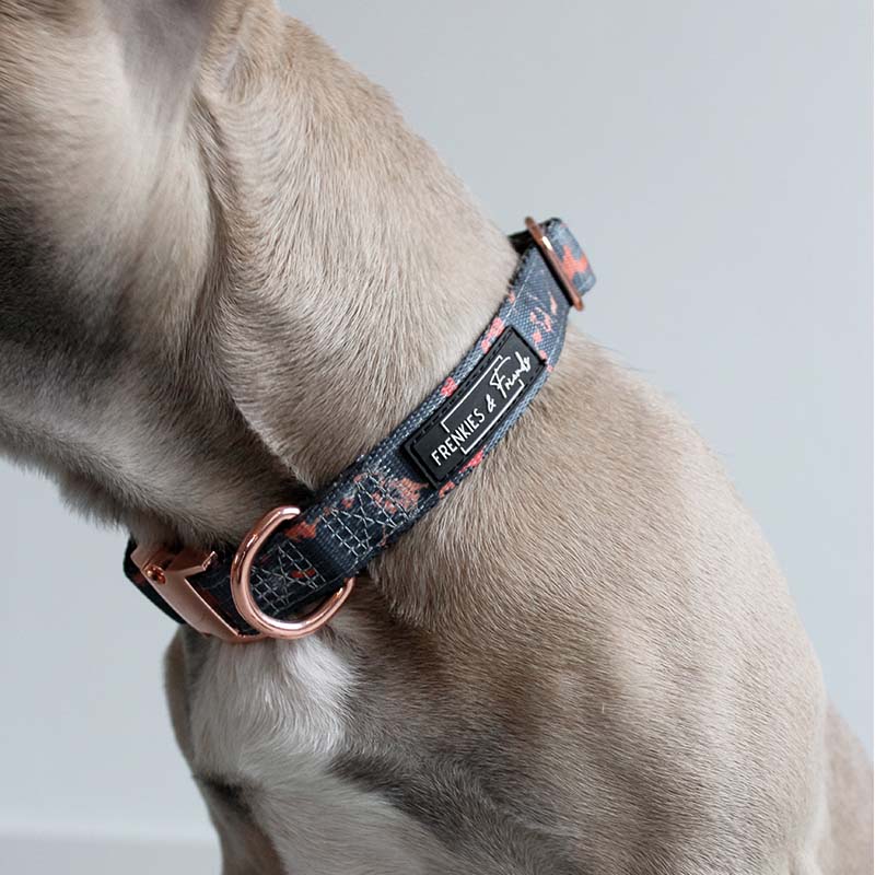 Halsband │ Frenkie - Afbeelding 4