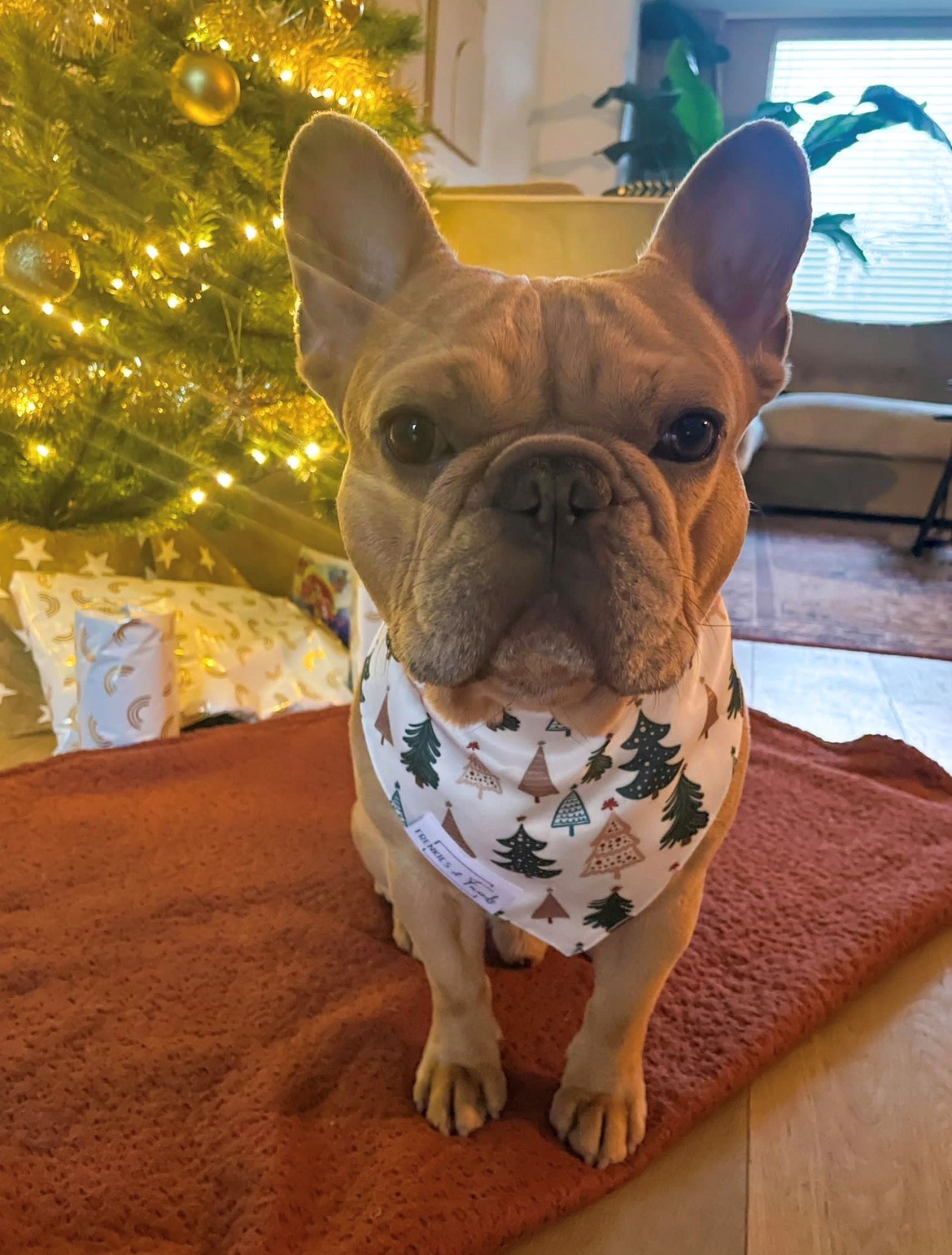 Bandana kerst - wit - Afbeelding 2